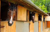 free Snetterton stable construction quotes